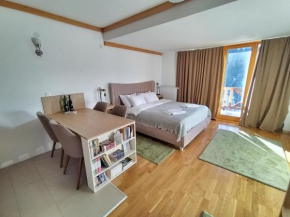 Apartman 452 sa pogledom na stazu Hotel Vučko private host